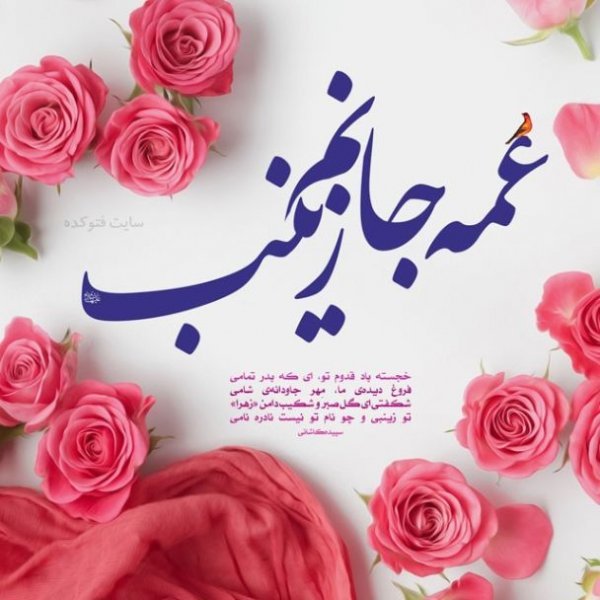  عکس ولادت حضرت زینب و روز پرستار
