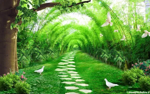 عکس جنگل بهاری