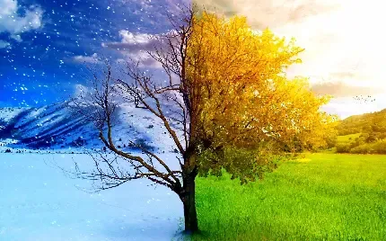  دانلود عکس بهار رنگارنگ با کیفیت