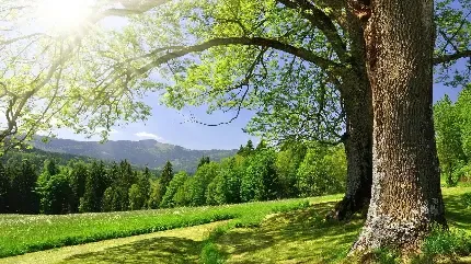  دانلود عکس بهار رنگارنگ با کیفیت