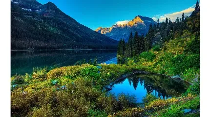  دانلود عکس بهار رنگارنگ با کیفیت