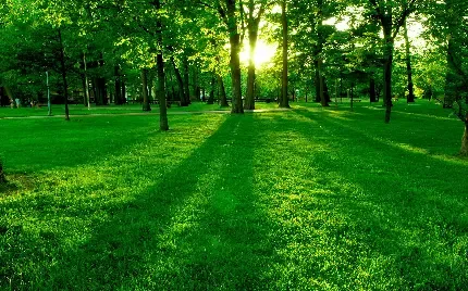  دانلود عکس بهار رنگارنگ با کیفیت