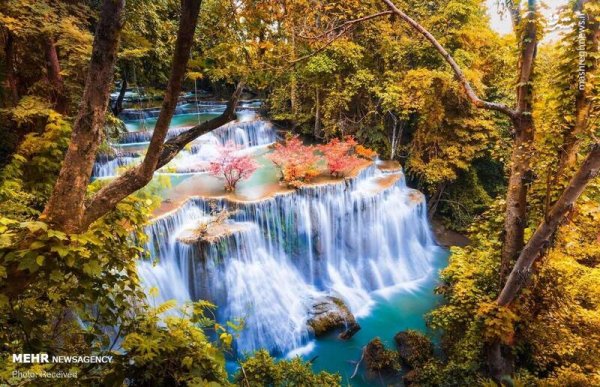  دانلود تصویر بهار و گل های زیبا