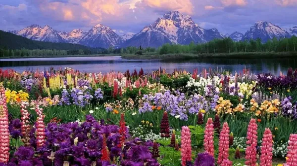  عکس بهار سبز