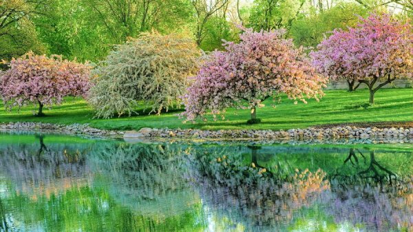  عکس بهار واقعی