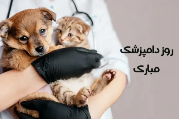  استوری روز دامپزشک