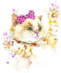  عکس گربه فانتزی با کیفیت بالا