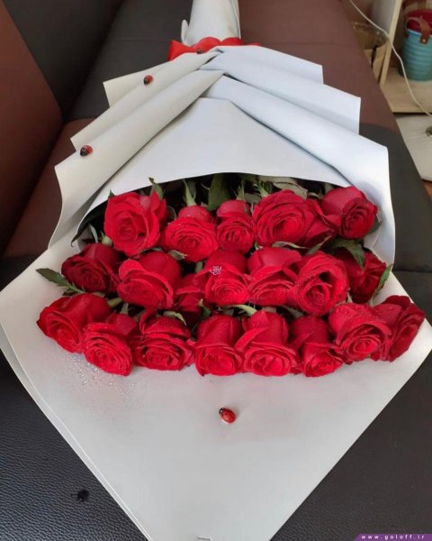  عکس گل برای معلم