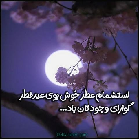  دانلود عکس پروفایل عید فطر با کیفیت بالا