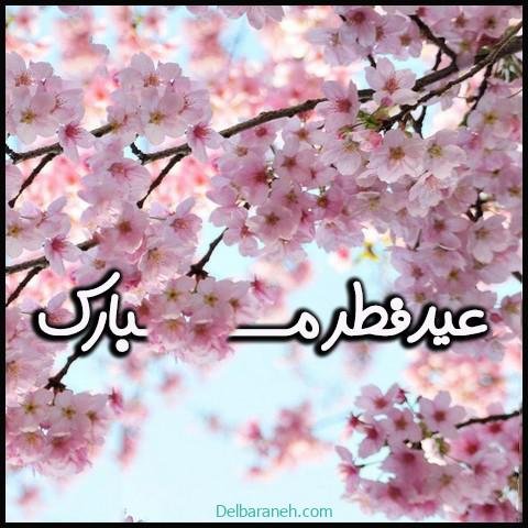  دانلود عکس پروفایل عید فطر با کیفیت بالا