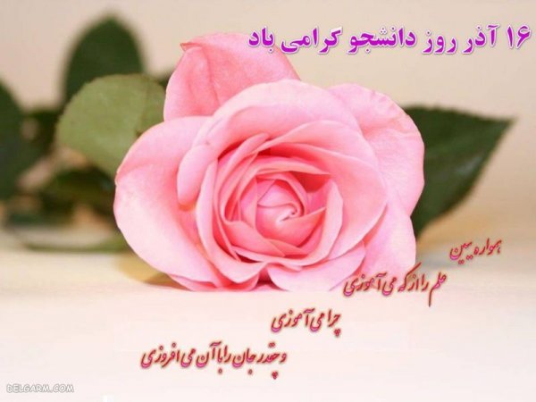  عکس نوشته تبریک روز دانشجو برای پروفایل