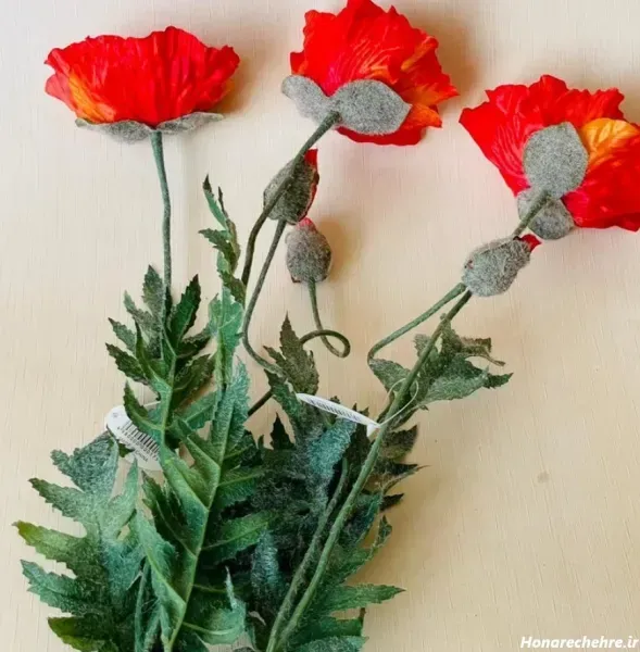  عکس گل شقایق طبیعی