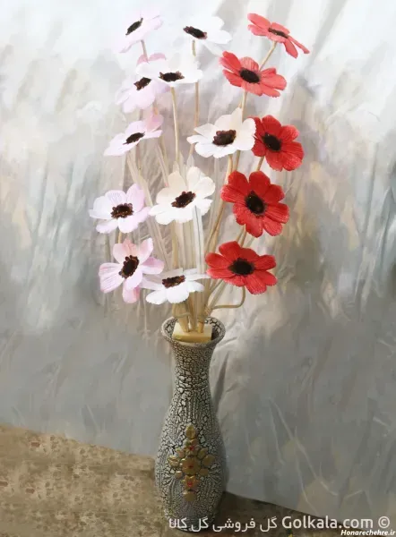  عکس گل شقایق طبیعی