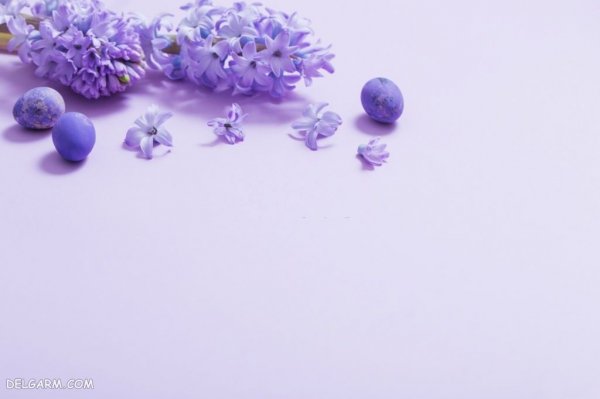 عکس گل سنبل برای استوری اینستاگرام