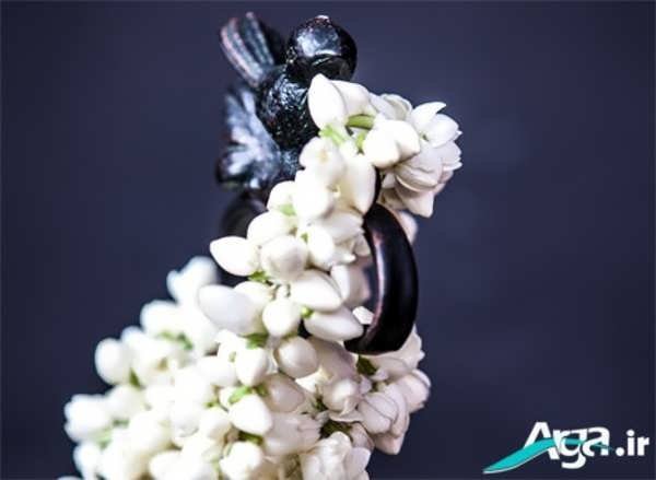  عکس گل یاس برای استوری