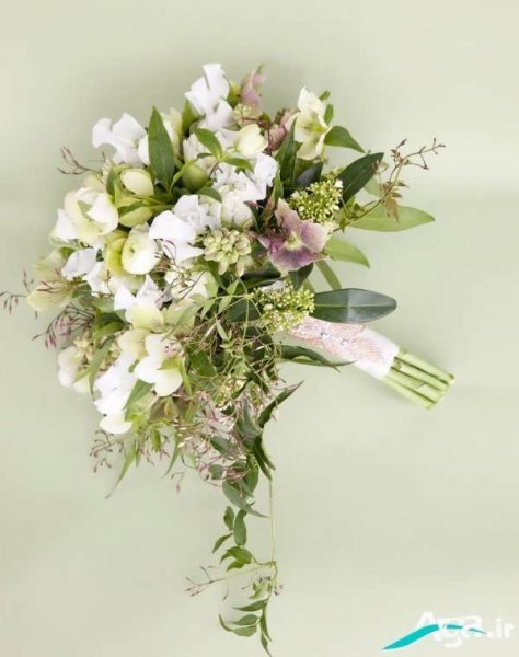  عکس گل یاس برای استوری