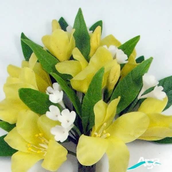  عکس گل یاس برای استوری