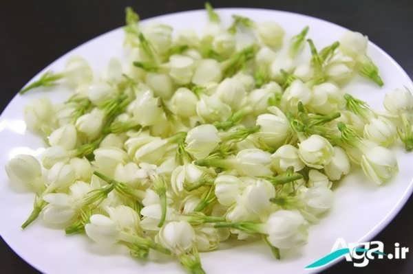  عکس گل یاس برای استوری