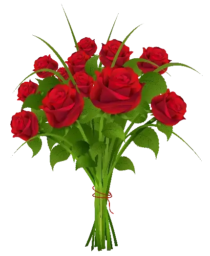  دانلود عکس گل های قرمز