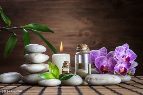 عکس گل ارکیده طبیعی