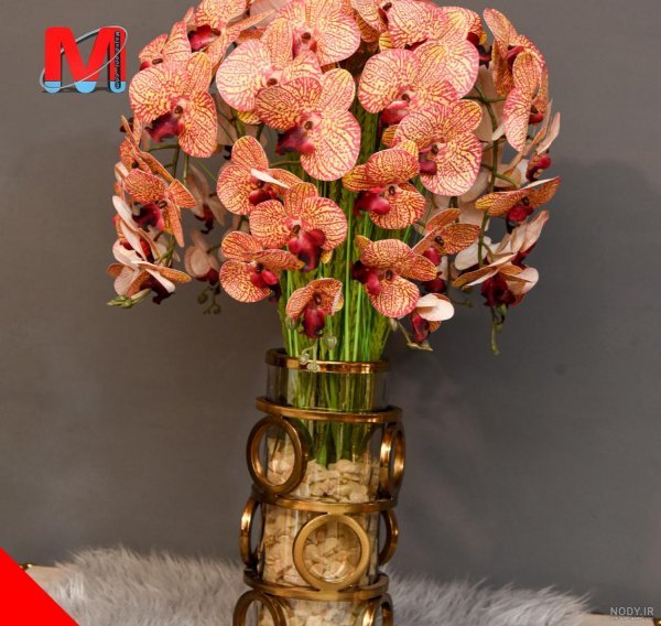  عکس گل ارکیده کریستالی