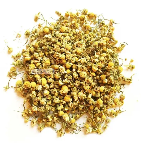  عکس انواع گل بابونه