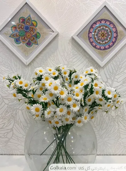  عکس انواع گل بابونه
