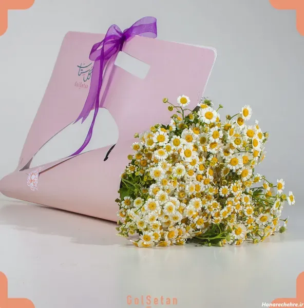  عکس انواع گل بابونه