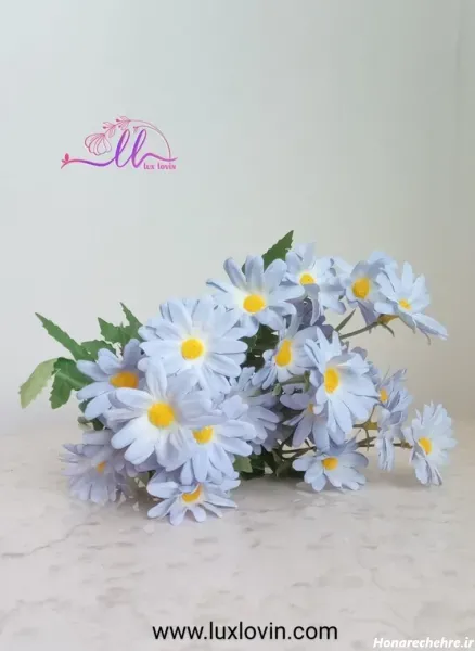  عکس انواع گل بابونه