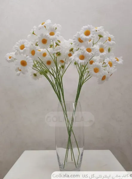  عکس انواع گل بابونه