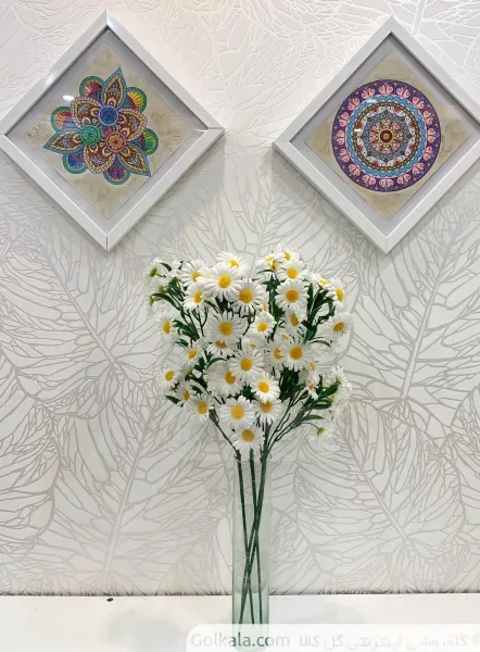  عکس انواع گل بابونه