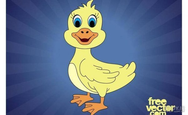  عکس اردک کارتونی