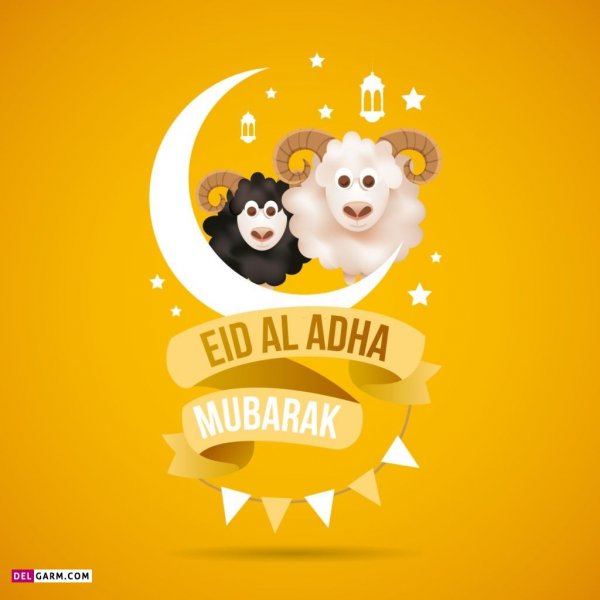  عکس گوسفند فانتزی برای عید قربان