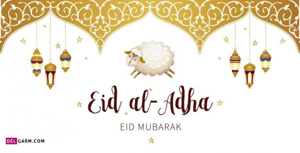  عکس گوسفند فانتزی برای عید قربان