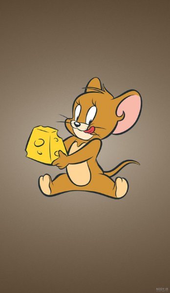  عکس تام و جری کیوت
