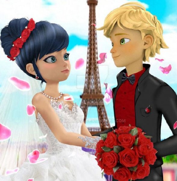 عکس مرینت