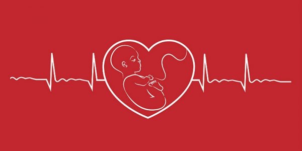  عکس ضربان قلب برای پروفایل