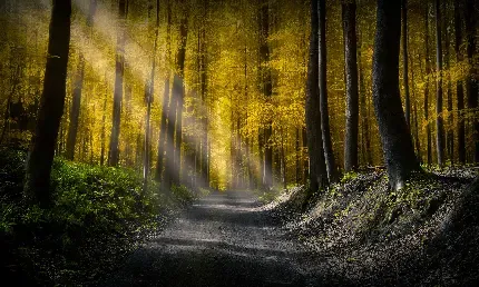  عکس جاده شمال برای تصویر زمینه