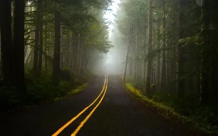  عکس جاده شمال برای تصویر زمینه