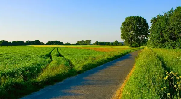  عکس طبیعت سرسبز برای تصویر زمینه کامپیوتر