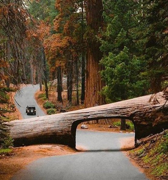  عکس پروفایل جاده برای واتساپ و تلگرام