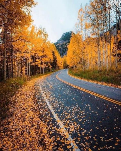  عکس پروفایل جاده برای واتساپ و تلگرام