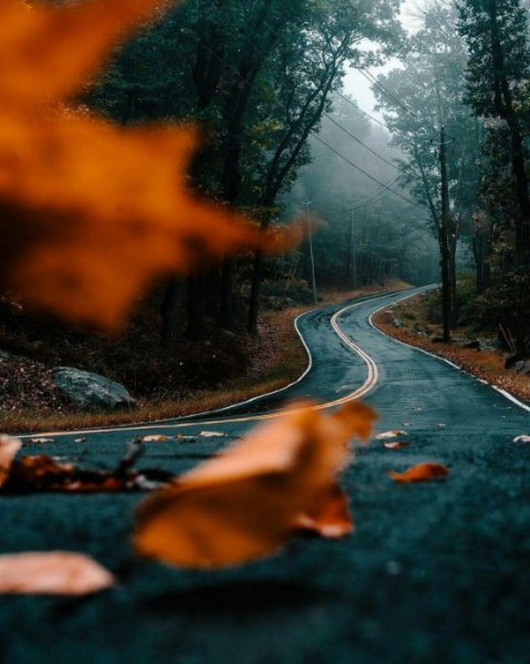  عکس پروفایل جاده برای واتساپ و تلگرام