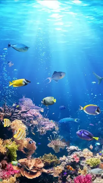 عکس ماهی برای تصویر زمینه