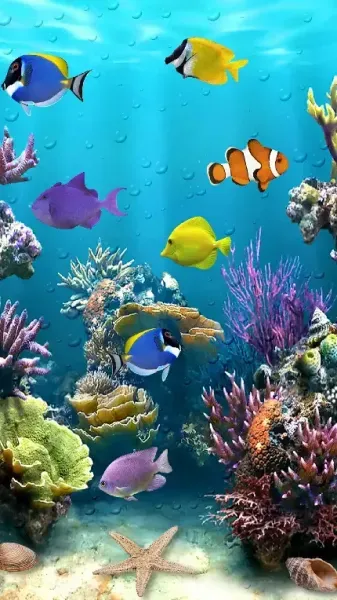 عکس ماهی با کیفیت بالا