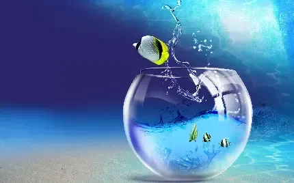 عکس ماهی با کیفیت بالا