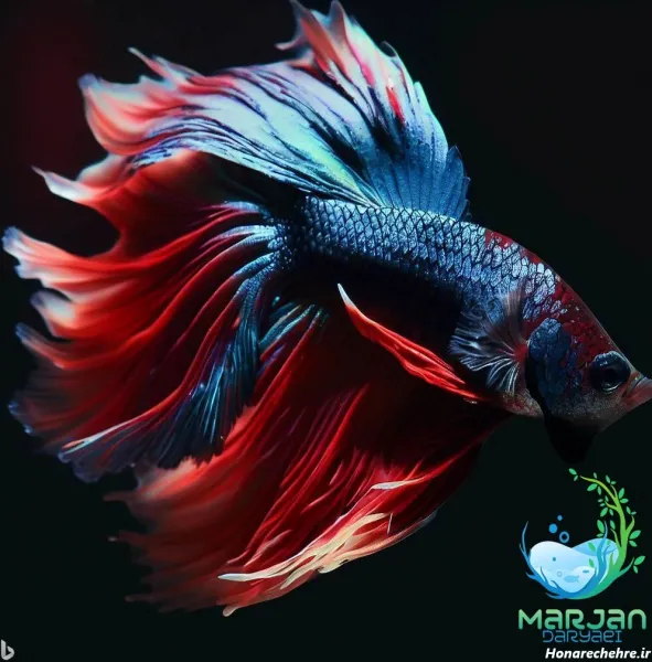 عکس زیباترین ماهی جهان