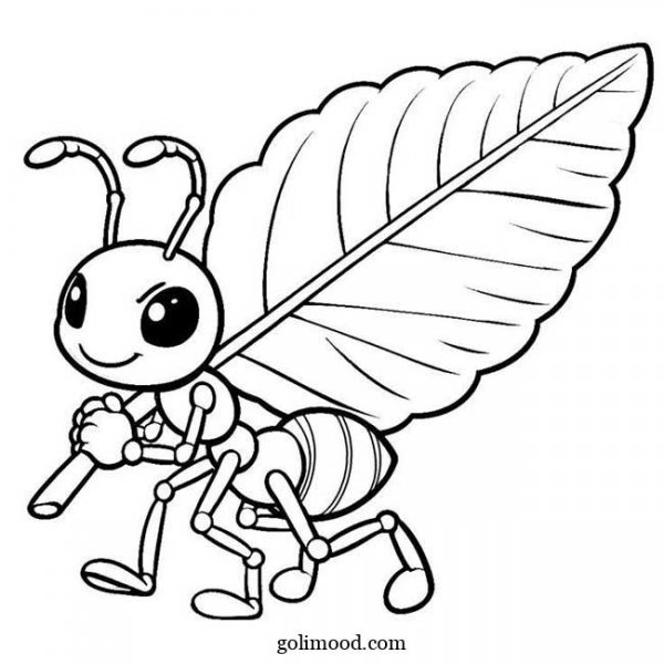  عکس مورچه نقاشی