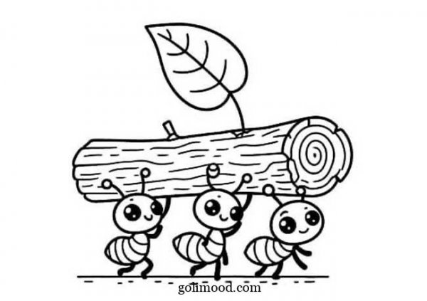  عکس مورچه نقاشی