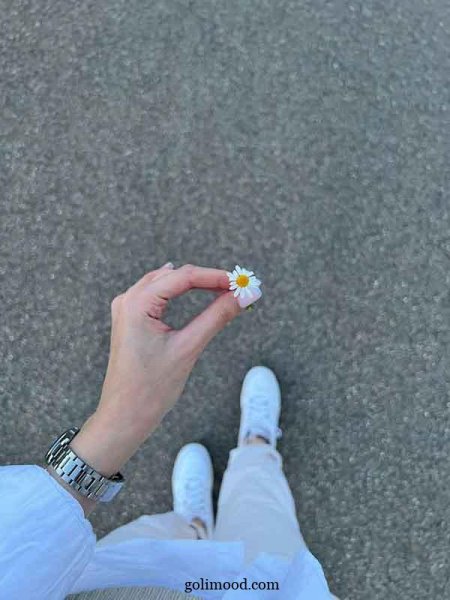  عکس گل برای پروفایل اینستاگرام